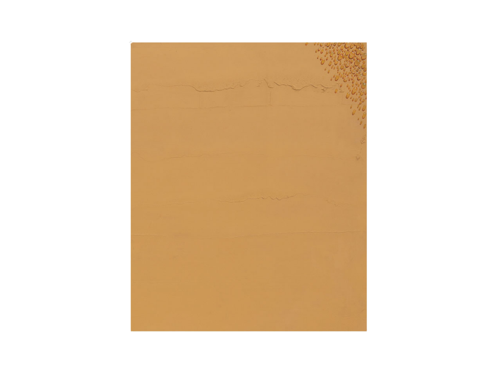 위아자 나눔위크 2025